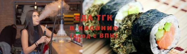 гашик Алексин