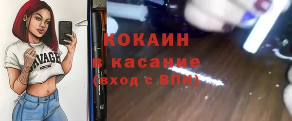 гашик Алексин
