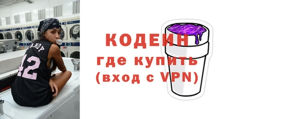 гашик Алексин