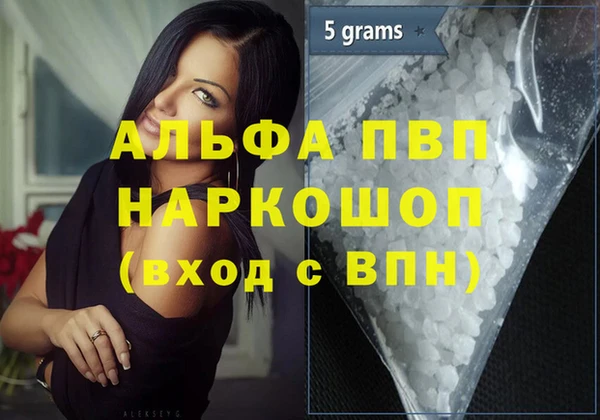 гашик Алексин