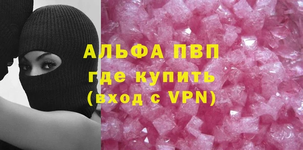 гашик Алексин