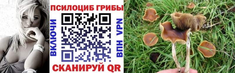Псилоцибиновые грибы мухоморы  где купить   Пермь 